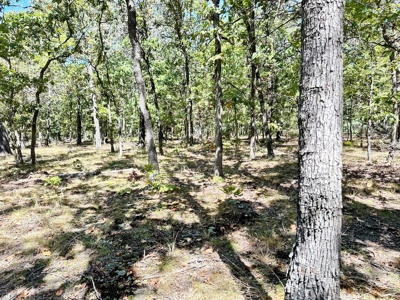 Vernon County Missouri Recreational Land for Sale - image 14