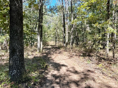 Vernon County Missouri Recreational Land for Sale - image 6