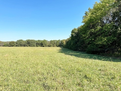 Vernon County Missouri Recreational Land for Sale - image 35