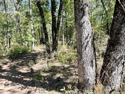 Vernon County Missouri Recreational Land for Sale - image 8