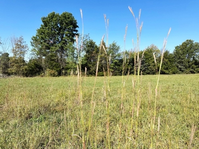 Vernon County Missouri Recreational Land for Sale - image 31