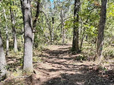 Vernon County Missouri Recreational Land for Sale - image 9