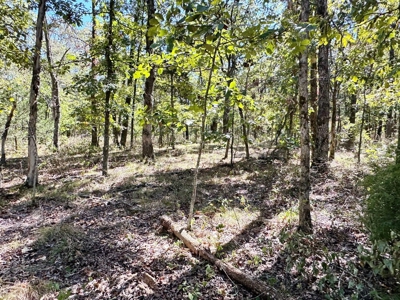 Vernon County Missouri Recreational Land for Sale - image 10