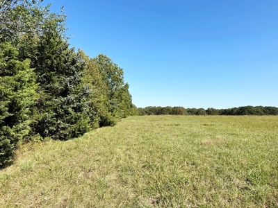 Vernon County Missouri Recreational Land for Sale - image 32