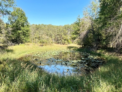 Vernon County Missouri Recreational Land for Sale - image 37