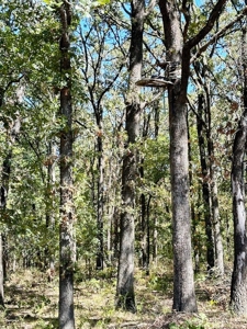 Vernon County Missouri Recreational Land for Sale - image 5