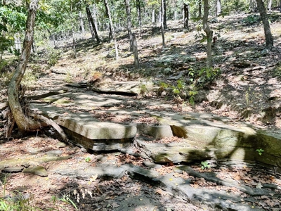 Vernon County Missouri Recreational Land for Sale - image 12