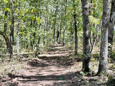 Vernon County Missouri Recreational Land for Sale - image 11