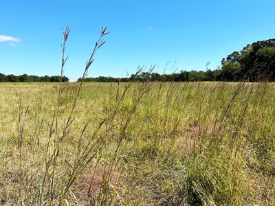 Vernon County Missouri Recreational Land for Sale - image 3