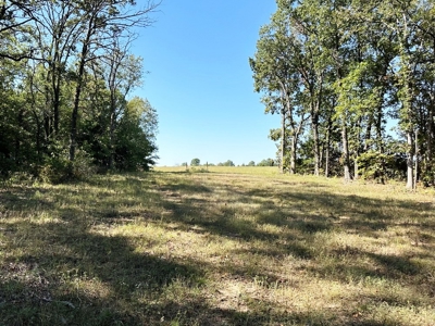 Vernon County Missouri Recreational Land for Sale - image 39