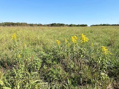 Vernon County Missouri Recreational Land for Sale - image 34
