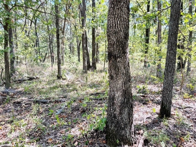 Vernon County Missouri Recreational Land for Sale - image 15