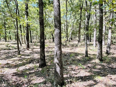 Vernon County Missouri Recreational Land for Sale - image 17