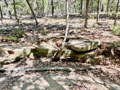 Vernon County Missouri Recreational Land for Sale - image 13