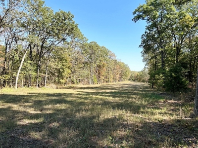 Vernon County Missouri Recreational Land for Sale - image 38