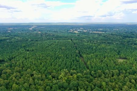 80 Acre Hunter’s Paradise Antlers, Oklahoma - image 3