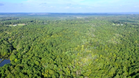 104 Acres of Hunting Land in Ariton w/ Cabin & Pond! - image 25