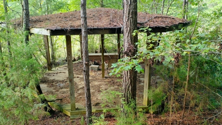 104 Acres of Hunting Land in Ariton w/ Cabin & Pond! - image 31