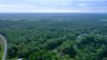 104 Acres of Hunting Land in Ariton w/ Cabin & Pond! - image 1