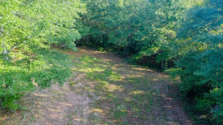 104 Acres of Hunting Land in Ariton w/ Cabin & Pond! - image 24
