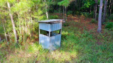 104 Acres of Hunting Land in Ariton w/ Cabin & Pond! - image 20