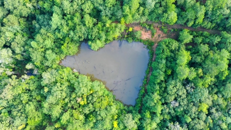 104 Acres of Hunting Land in Ariton w/ Cabin & Pond! - image 16