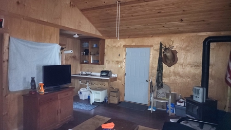 104 Acres of Hunting Land in Ariton w/ Cabin & Pond! - image 10