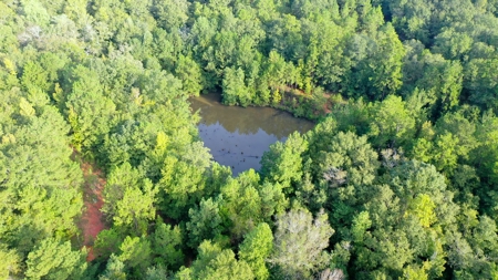 104 Acres of Hunting Land in Ariton w/ Cabin & Pond! - image 13