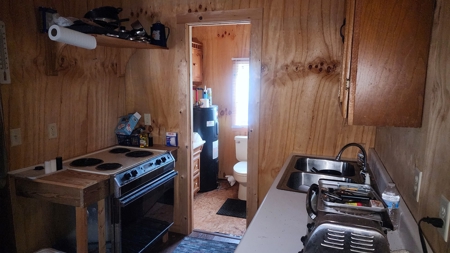 104 Acres of Hunting Land in Ariton w/ Cabin & Pond! - image 6