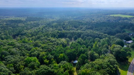 104 Acres of Hunting Land in Ariton w/ Cabin & Pond! - image 34