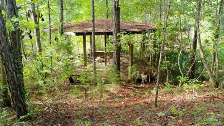 104 Acres of Hunting Land in Ariton w/ Cabin & Pond! - image 32