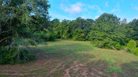 104 Acres of Hunting Land in Ariton w/ Cabin & Pond! - image 12