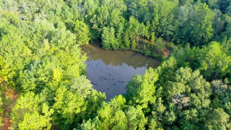 104 Acres of Hunting Land in Ariton w/ Cabin & Pond! - image 14
