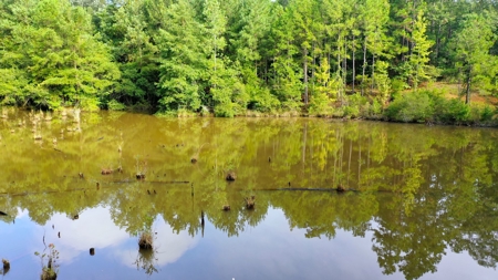 104 Acres of Hunting Land in Ariton w/ Cabin & Pond! - image 29