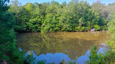 104 Acres of Hunting Land in Ariton w/ Cabin & Pond! - image 30