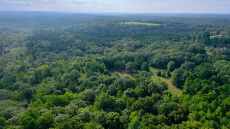 104 Acres of Hunting Land in Ariton w/ Cabin & Pond! - image 33