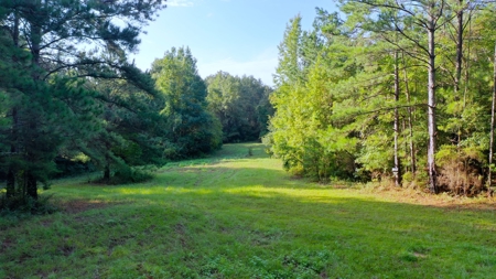 104 Acres of Hunting Land in Ariton w/ Cabin & Pond! - image 19