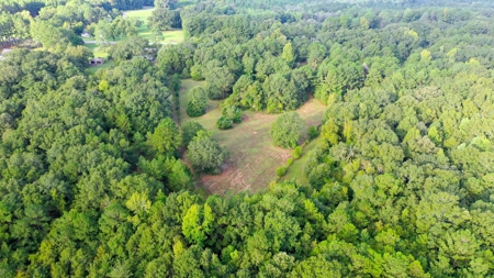 104 Acres of Hunting Land in Ariton w/ Cabin & Pond! - image 11