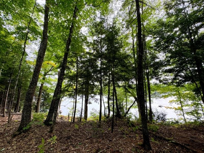 Riverfront Camp on the Penobscot River - image 23