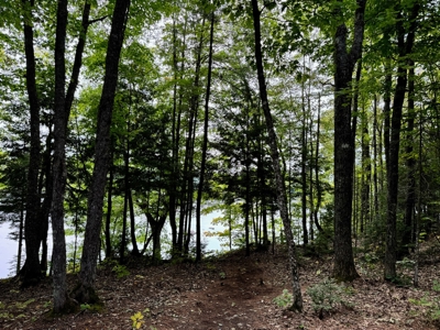 Riverfront Camp on the Penobscot River - image 21