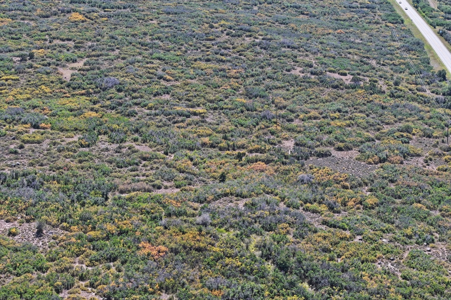 Colorado Vacant Land For Sale