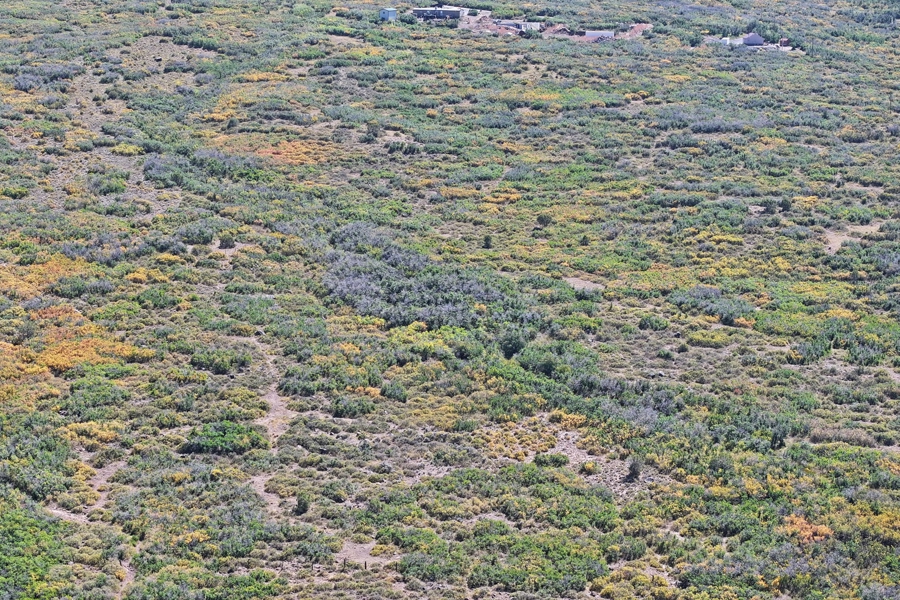 Colorado Vacant Land For Sale
