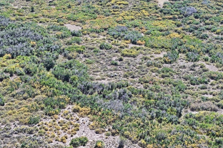 Land For Sale Near Powderhorn Ski Resort - image 12