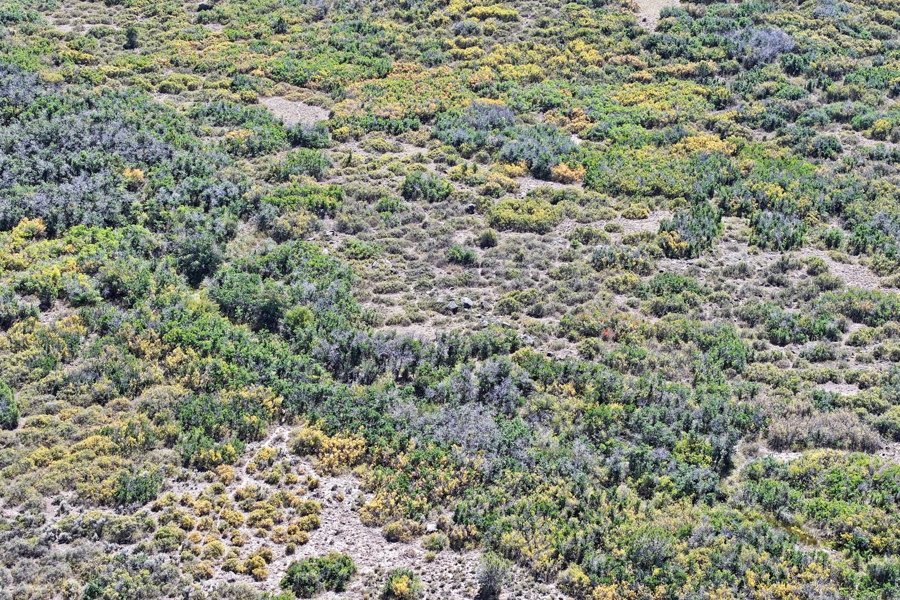 Colorado Vacant Land For Sale