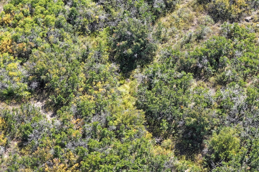 Colorado Vacant Land For Sale