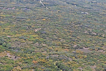 Land For Sale Near Powderhorn Ski Resort - image 10