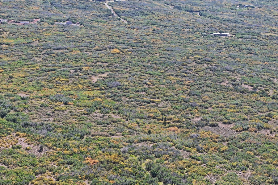 Colorado Vacant Land For Sale