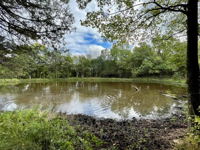 Crawford County AR 35 Acres Land For Sale - image 21