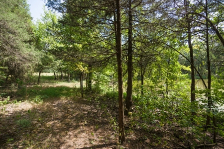 Crawford County AR 35 Acres Land For Sale - image 7