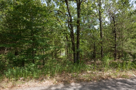 Crawford County AR 35 Acres Land For Sale - image 2